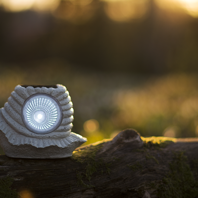 Koristeellinen aurinkoetana